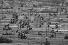 Black and white picture of oil derricks in a field