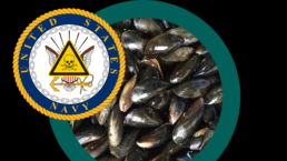An image of the Navy logo overlaid with a poison sign against a background of mussels