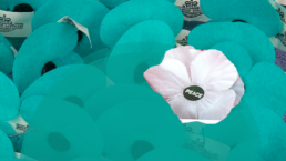 A white poppy in a field of teal ones reads 