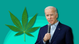 joe biden and marijuana leaf