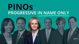 Meet the PINOs, progressive in name only, Madeleine Dean