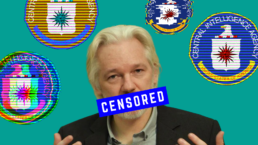 julian assange and the CIA