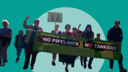 Opposition to pipelines