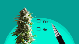 marijuana and a checkbox marked yes with a pen