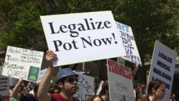 protestor with sign that says legalize pot now