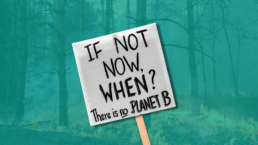 wildifre and climate change protest sign