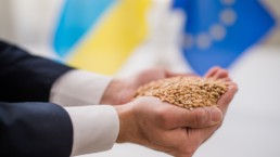 hands holding wheat in front of ukraine and EU flags