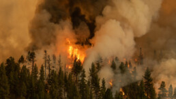 The Tamarack Fire burns on the eastern edge of California just south of Lake Tahoe.