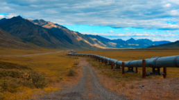A pipeline stretches across a barren but beautiful wilderness in Alaska