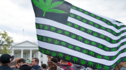A flag flies for legalized marijuana
