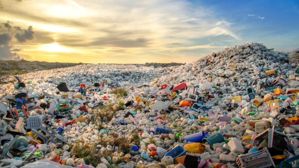 Experts Sound The Alarm On Toxic Chemicals Ahead Of Plastic Treaty Negotiations