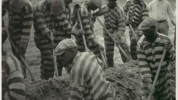 Prison Work Crew (ca. 9 Members) Digging Trench and 1 Guard