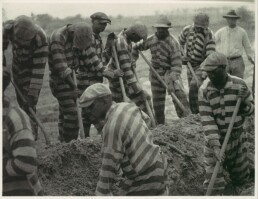 Prison Work Crew (ca. 9 Members) Digging Trench and 1 Guard