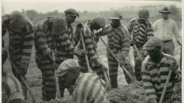 Prisoners work on a chain gang