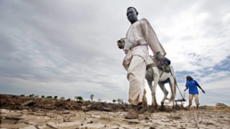 Darfuris trod a drought stricken landscape