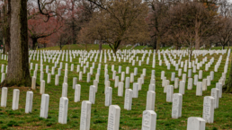 Arlington national cemetery