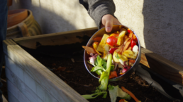person dumping organic waste and vegetables into composting bin