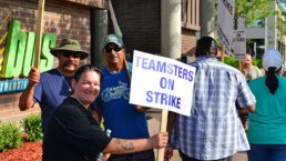 After six months failed negotiations the teamsters union strikes the Golden Empire Transit District. Union members walk the picket line in the extreme heat.