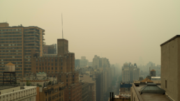 Smoke from Canadian forest fires arrives in New York City pollutng the air, setting off health alerts and giving the sky an eerie yellow tone