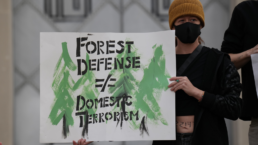 forest defense does not equal domestic terrorism sign as stop cop city protest