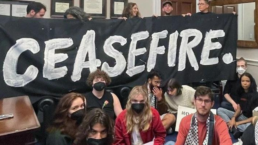 ceasefire protest in congressional offices