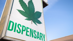 Dispensary marijuana
