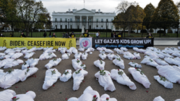 calls for ceasefire and to save the lives of children in Gaza outside White House
