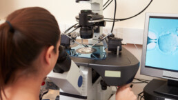 IVF in lab under microscope