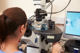 IVF in lab under microscope