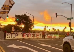 codepink ceasefire now end genocide protest