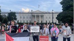american nurse on hunger strike for gaza