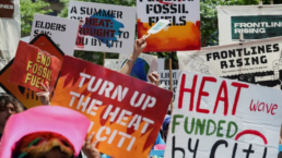 summer of heat protest signs