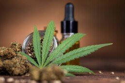 Cbd,Oil,And,Marijuana,Plant,,Hemp,Seeds,,Medical,Marijuana