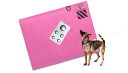 police dog and abortion pills
