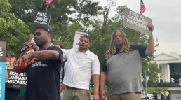 marijuana protest in DC