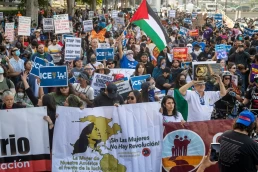 Community,Organizers,Protest,Outside,The,Federal,Building,Following,An,Immigration