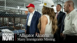 alligator Alcatraz on democracy now