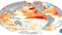 El Niño in 2016
